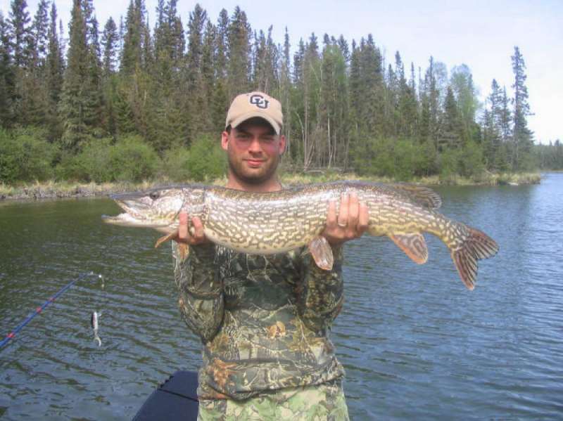 Pickerel Bay Cabins - Northern Pike